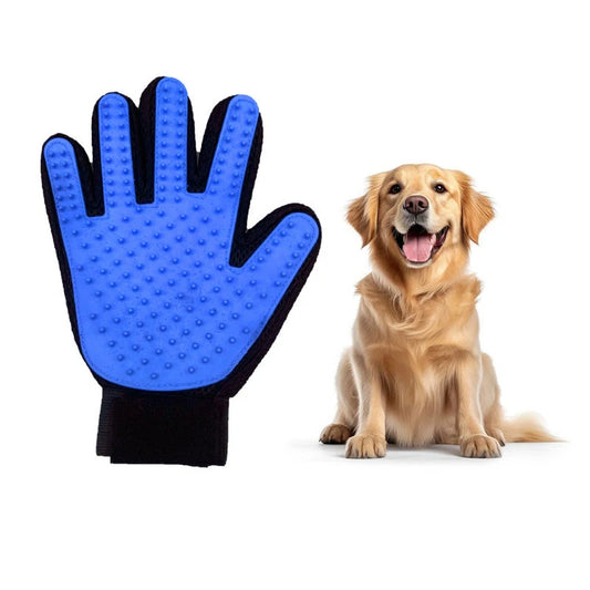 Rubber Glove
